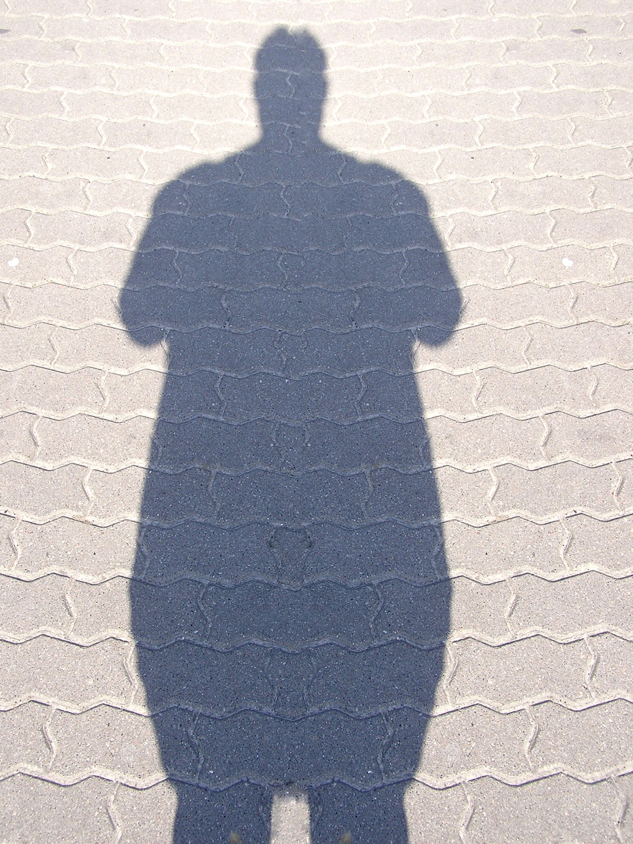 Fat shadow man 1168363 1279x1705